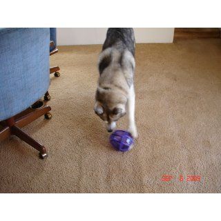 PetSafe Busy Buddy Kibble Nibble Meal Dispensing Dog Toy, Medium/Large : Pet Toy Balls : Pet Supplies