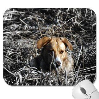 Mousepad   9.25" x 7.75" Designer Mouse Pads   Dog/Dogs (MPDO 426): Computers & Accessories