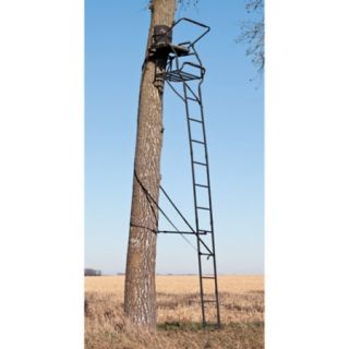 Big Game Arch Rival 19 Ladderstand 444017