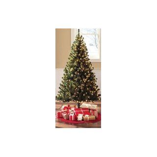 Winston Pine Prelit 3 Ft Christmas Tree : Everything Else