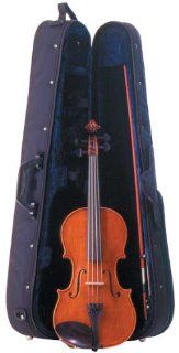 Palatino VA 850 15 Dolce Viola Outfit, 15 Inches: Musical Instruments