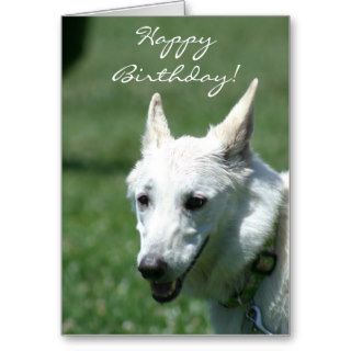 Happy Birthday White German Shepherd greeting card