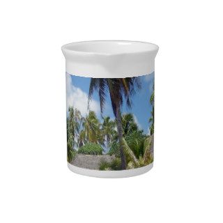 Beach Tropical Bed Breakfast Pitchers