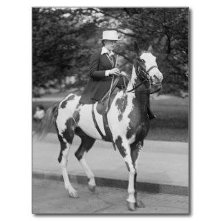 Palomino Pony, 1915 Post Cards