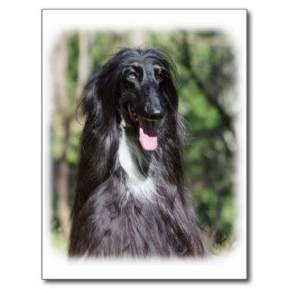 Afghan Hound AA017D 119 Post Cards