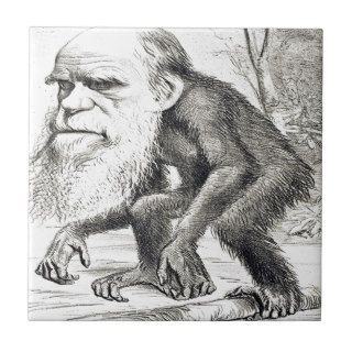 Editorial Cartoon Of Charles Darwin 1871 Tiles