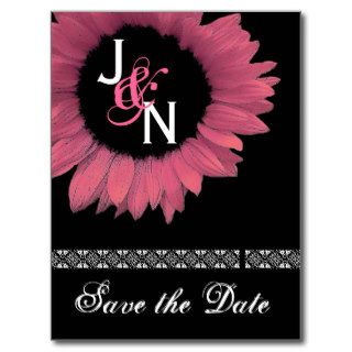 Save the Date Postcard   Pink Sunflower