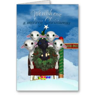 Sheep Christmas Card   Black Sheep Holiday Card