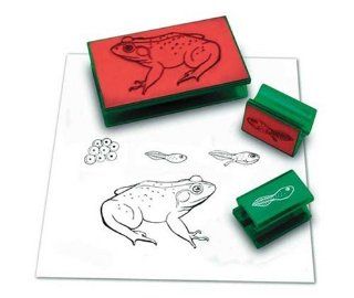 FROG LIFE CYCLE STAMP: Toys & Games