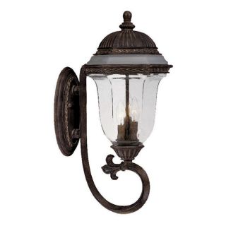 Venice Collection 3 light Black Coral Outdoor Wall Mount Light Fixture