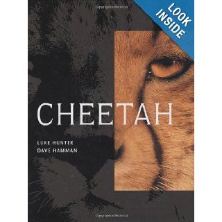 Cheetah (9781868727193): Luke Hunter, Dave Hamman: Books