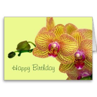 Happy Birthday   Orchid yellow and pink Greeting Cards