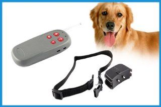 ATC Petsafe SHOCK +VIBRATE REMOTE SMALL LITTLE DOG TRAINING COLLAR : Pet Training Collars : Pet Supplies