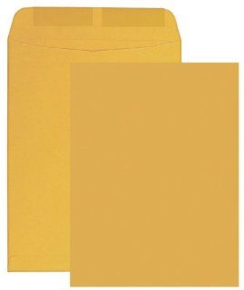 Columbian CO649 6x9 Inch Catalog Brown Kraft Envelopes, 100 Count : Office Products