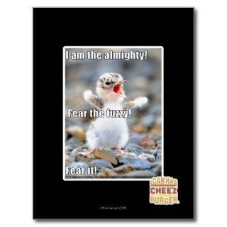 Fear the Fuzzy! Postcards