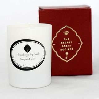 aromatherapy grapefruit and lime soy candle by the secret scent societé