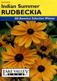 Lake Valley 696 Rudbeckia Indian Summer Seed Packet : Flowering Plants : Patio, Lawn & Garden