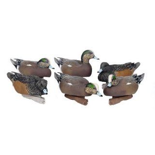 Avery Greenhead Gear Pro Grade Life Size Wigeon Floating Duck Decoys 6pk : Hunting Decoys : Sports & Outdoors