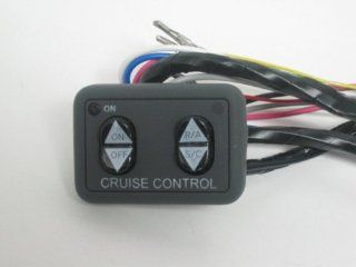 250 3593 Dash Mount Flat Panel Control Switch for Rostra and Audiovox Cruise Control: Automotive
