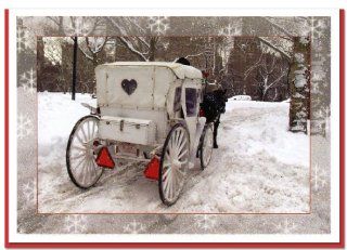 White Carriage in Central Park. New York Christmas Cards Set of 6: Health & Personal Care
