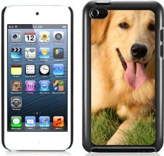 Golden Retriever Pets Dog Hard Plastic and Aluminum Back Case For Apple iPod Touch 4 4th Generation With 3 Pieces Screen Protectors: Cell Phones & Accessories