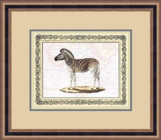 "Antique Animals/Zebra" by Anonymous   Framed Artwork   Lithographic Prints