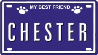 CHESTER Dog Name Plate for Dog House. Over 400 Names Availaible. Type in Name" Dog Plate in Search. Your Dog Name will show up." : Kitchen & Dining