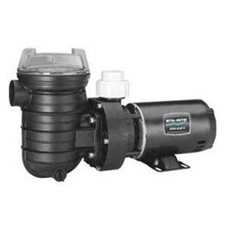 Sta Rite Replacement Above ground Pool Pump   1 HP : Swimming Pool De Filters : Patio, Lawn & Garden