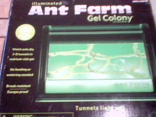 2008 Uncle Milton Industries, Inc. Uncle Milton Illuminated Ant Farm Gel Colony Live Ant Colony #1451   watch Ants Dig 3 d Tunnels Innutrient rich Gel   no Feeding or Watering Needed   break Resistant/escape Proof   tunnels Light Up!   ant Farm Brand Gel C