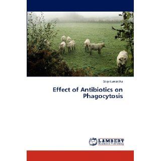Effect of Antibiotics on Phagocytosis: Dilip Kumar Jha: 9783843367585: Books