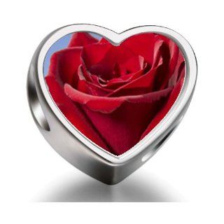 Soufeel 925 Sterling Silver Red Rose in Sunshine Heart Photo European Charms Fit Pandora Bracelets: Bead Charms: Jewelry