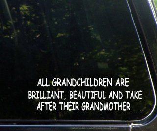 All Grandchildren Are Brilliant, Beautiful, and Take After Their Grandmother   Funny   Die Cut Decal for Windows, Cars, Trucks, Laptops, Etc.: Home Improvement