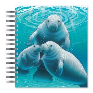 ECOeverywhere Manatee Family Picture Photo Album, 18 Pages, Holds 72 Photos, 7.75 x 8.75 Inches, Multicolored (PA14123) : Wirebound Notebooks : Office Products