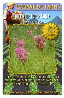 Everwilde Farms   Queen of the Prairie Native Wildflower Seeds   Jumbo Seed Packet (40) : Flowering Plants : Patio, Lawn & Garden