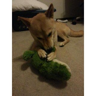 KONG Cozie Ali the Alligator Medium Dog Toy, Green : Pet Squeak Toys : Pet Supplies