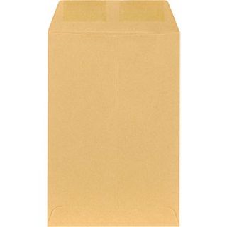 6 x 9 Brown Kraft Catalog Envelopes, 100/Box