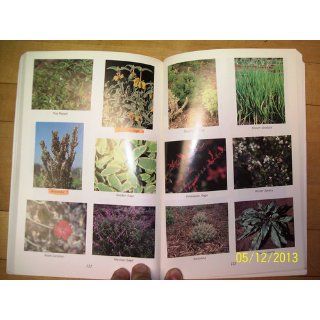 Sol Meltzer's Herb Gardening in Texas: Sol Meltzer: 9780884153290: Books
