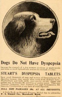 1898 Vintage Ad Stuart's Dyspepsia Tablets Quackery Dog   Original Print Ad  