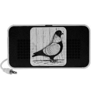 Starling Pigeon Silver laced 1979 Notebook Speakers