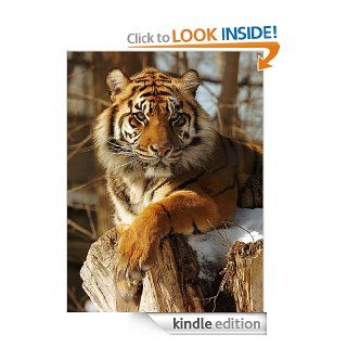 Critical Mass: Some Of The MOST Endangered Animals On The Planet eBook: Roger Thatt: Kindle Store