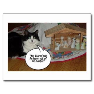 Christmas Black and White Cat Humor Post Card