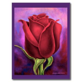 Red Rose Flower Painting   Multi Post Cards