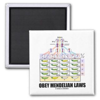 Obey Mendelian Laws (Dihybrid Cross Peas) Refrigerator Magnet