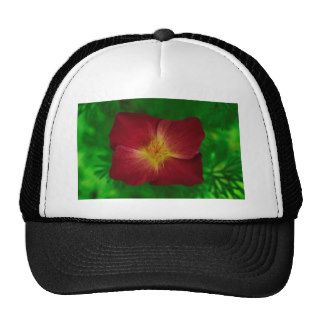 Red Cosmos Flower Design Mesh Hat