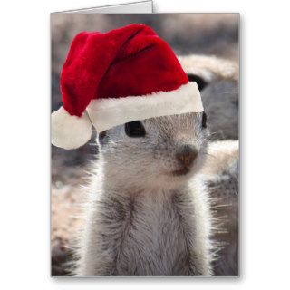 Santa Squirrel Christmas Card