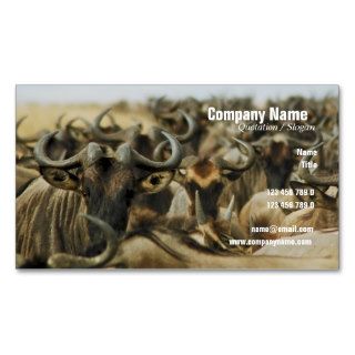 Wildebeest gnus Kenya safari profile cards custom Business Card