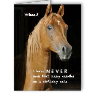 Old Nag Many Candles Funny Horse Birthday Card