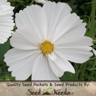 400 Flower Seeds, Cosmos "Purity" (Cosmos bipinnatus) Seeds By Seed Needs  Cosmos Plants  Patio, Lawn & Garden
