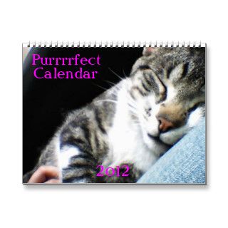 2012 Cats and kittens calendar