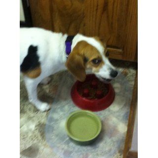 Brake Fast Dog Food Slow Feed Bowl   Small Red : Pet Bowls : Pet Supplies